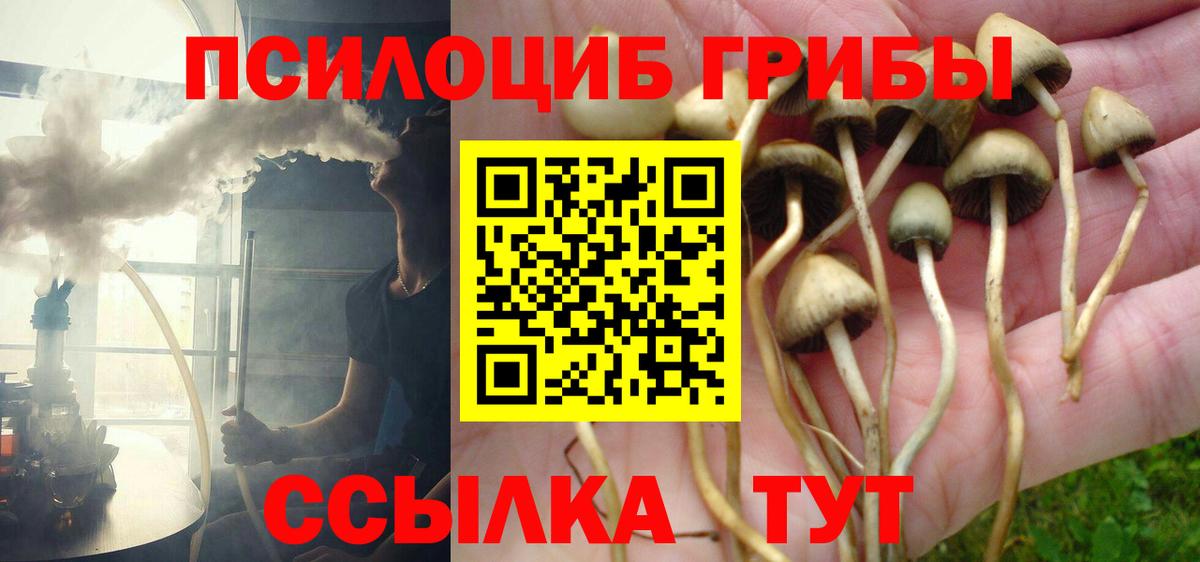 Ленинск-Кузнецкий  Псилоцибиновые грибы MAGIC MUSHROOMS  Вход с VPN 